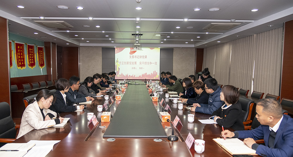 天啟黨總支攜手武進(jìn)建協(xié)功能型黨支部開展黨建共建活動